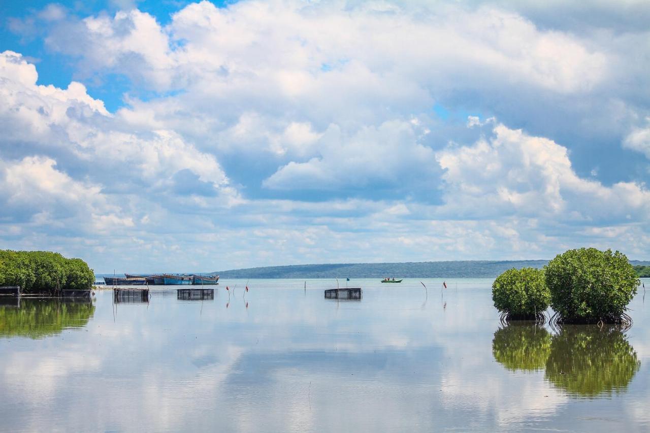 Atara Lagoon كالبيتيا المظهر الخارجي الصورة