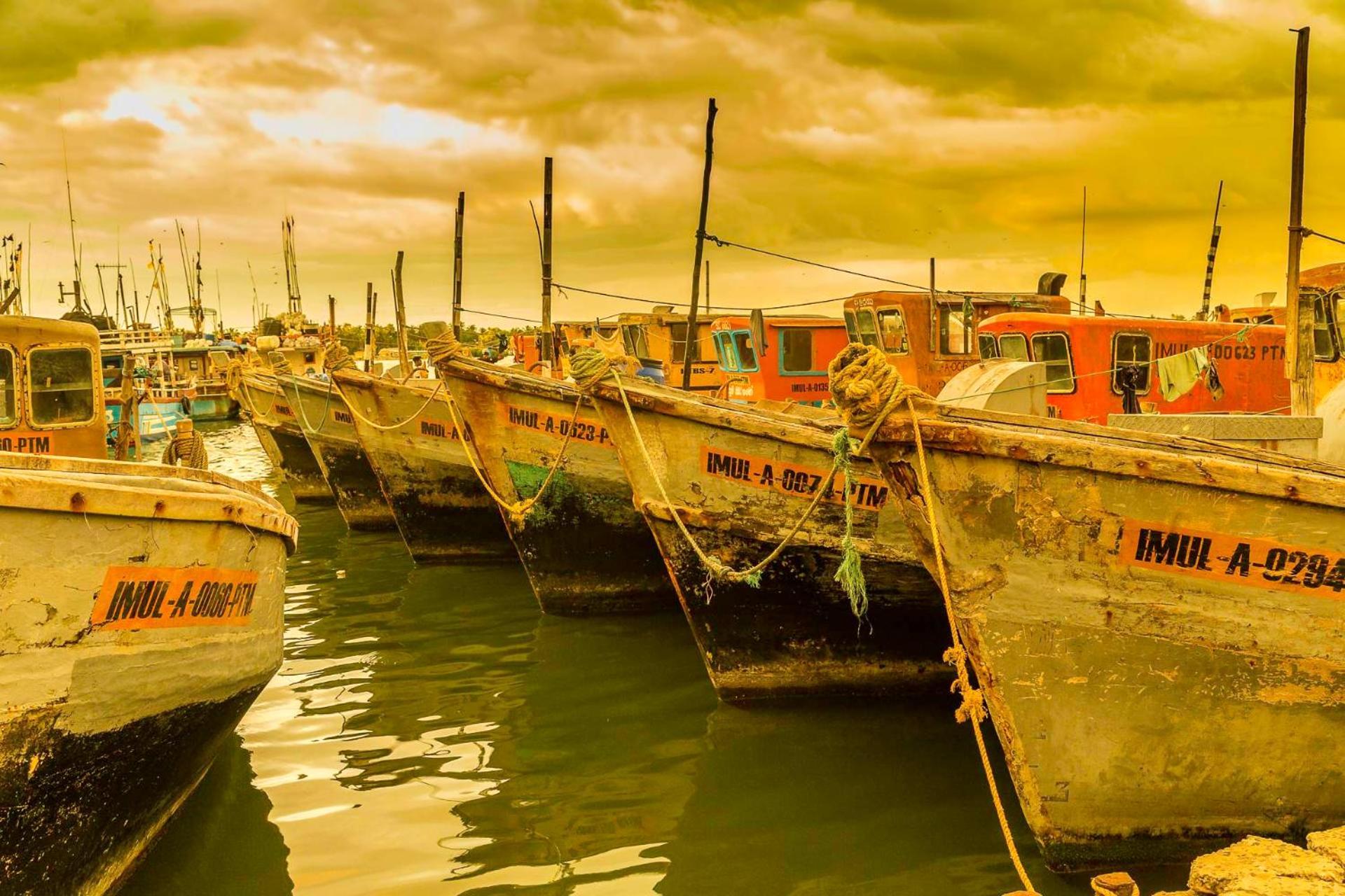 Atara Lagoon كالبيتيا المظهر الخارجي الصورة