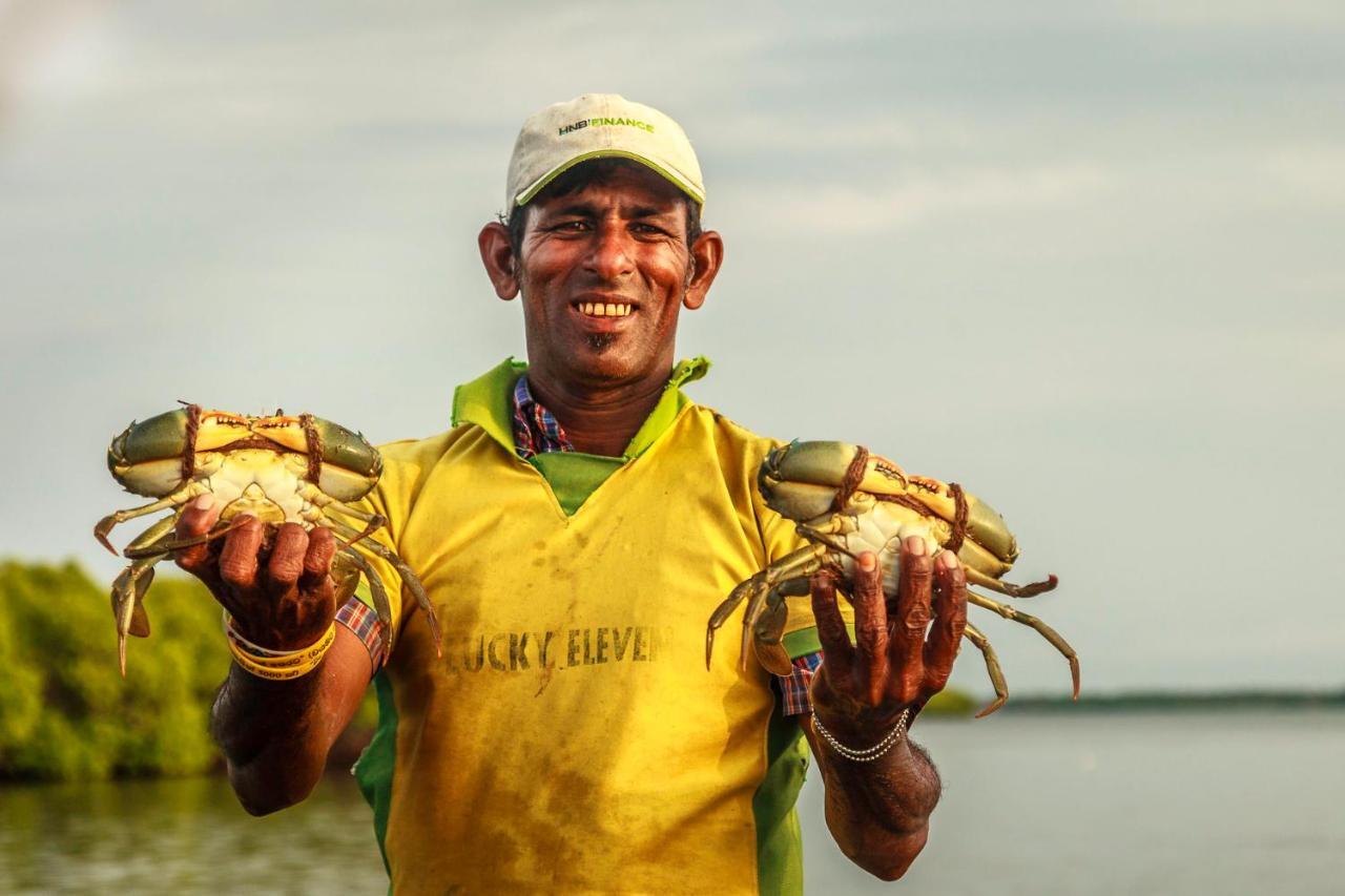 Atara Lagoon كالبيتيا المظهر الخارجي الصورة